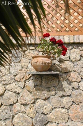 Casa Delfino Hotel 5